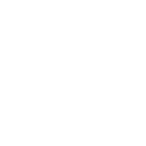 image - conception