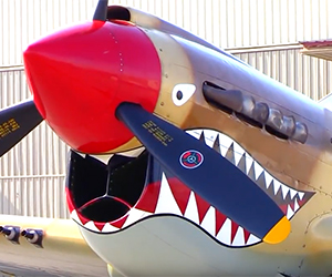 video celcius covering luxury 126 shark